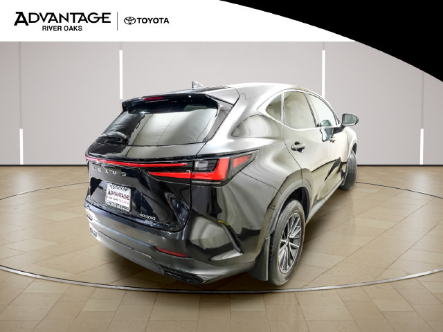 Used 2024 Lexus NX 350 AWD w/ Cold Area Package image 7