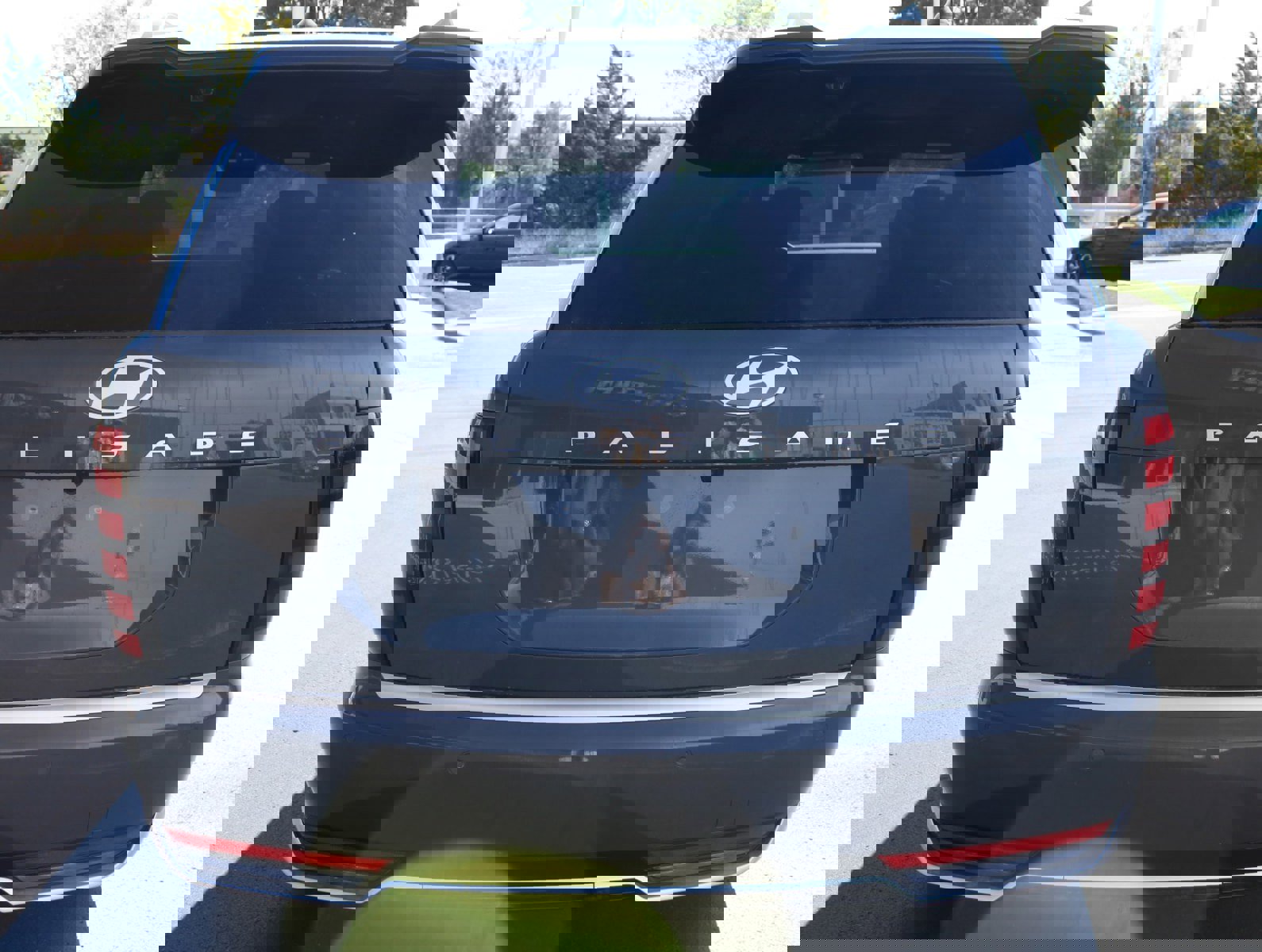 New 2026 Hyundai Palisade Calligraphy image 6