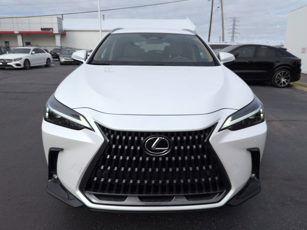 Used 2025 Lexus NX 350h AWD w/ Cold Area Package image 8