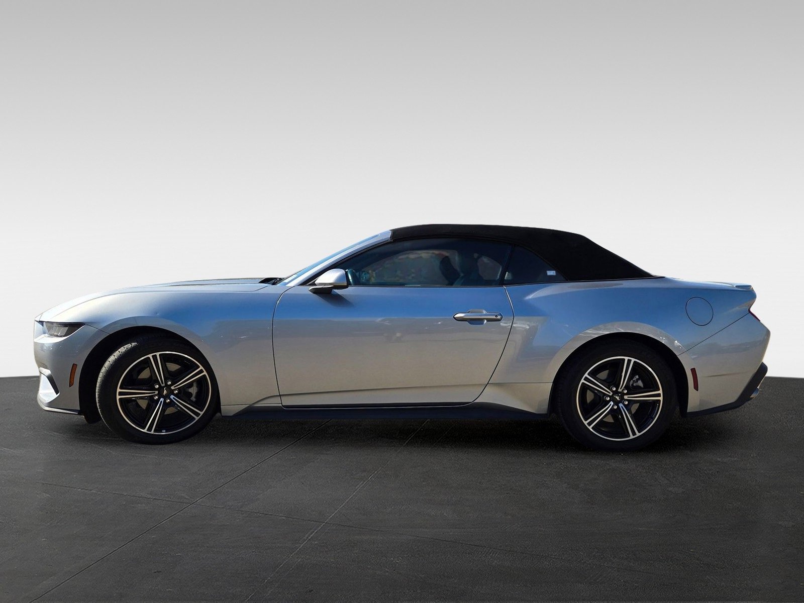 Used 2024 Ford Mustang Premium image 7