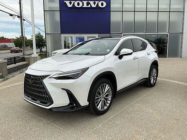 Used 2025 Lexus NX 350h AWD w/ Accessory Package (2T) image 3