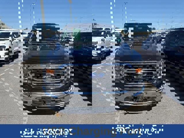 Used 2021 Ford F150 XLT w/ Equipment Group 302A High image 8