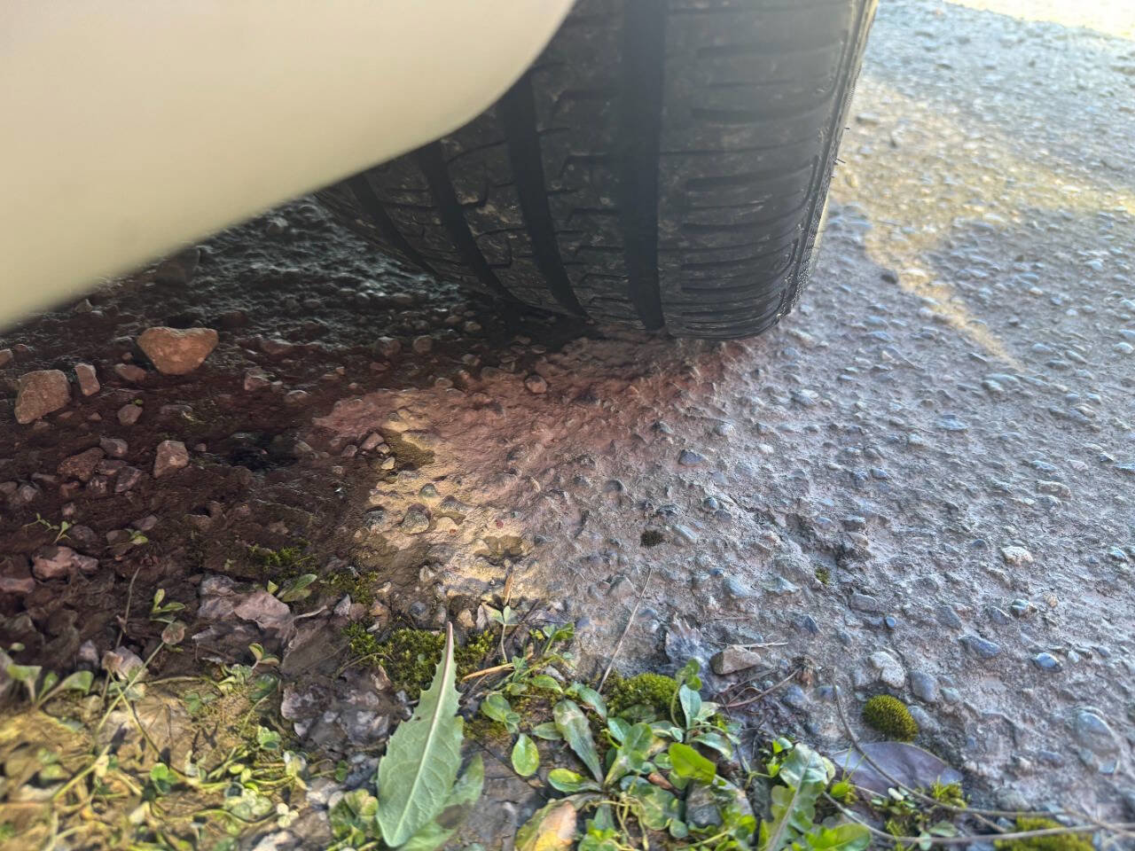 Used 2004 Lexus LS 430 image 28