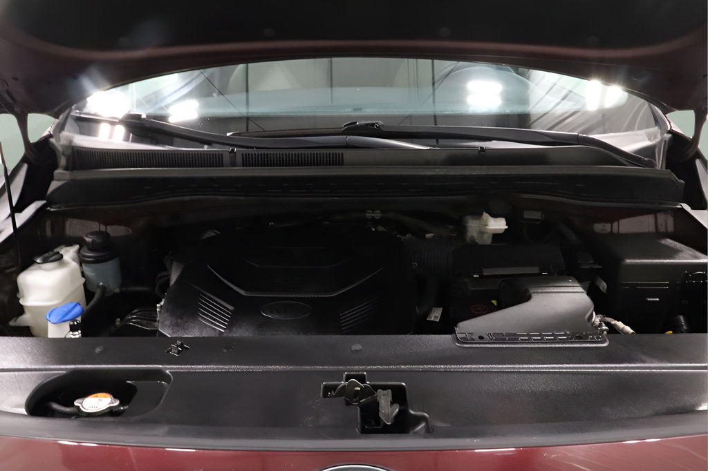 Used 2019 Kia Sedona LX FWD image 20