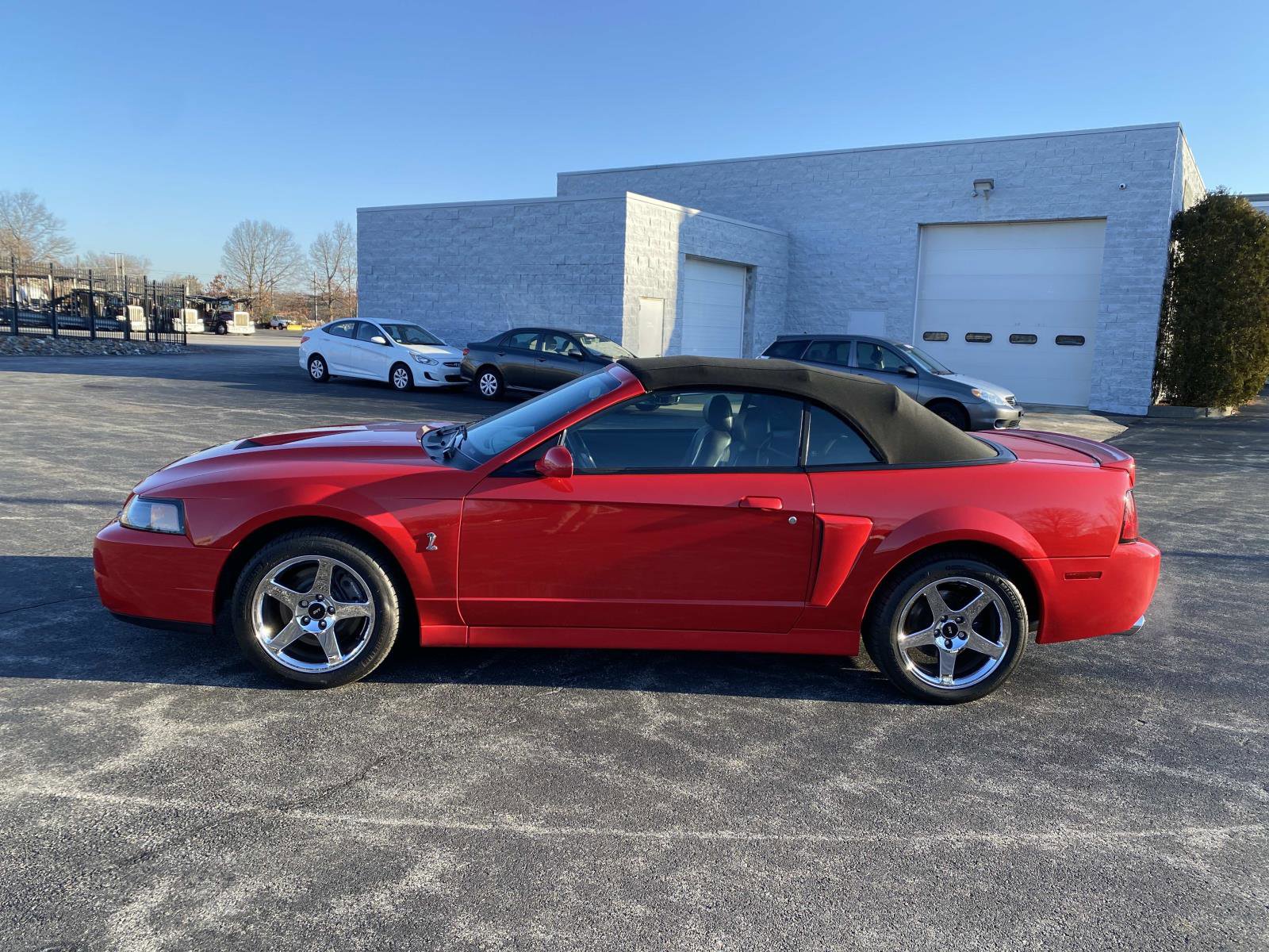 Used 2004 Ford Mustang Cobra image 2
