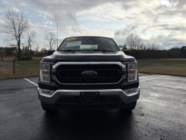 Used 2021 Ford F150 XLT image 2