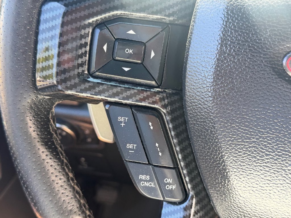 Used 2018 Ford F150 Raptor w/ Equipment Group 802A Luxury AWD/4WD image 32