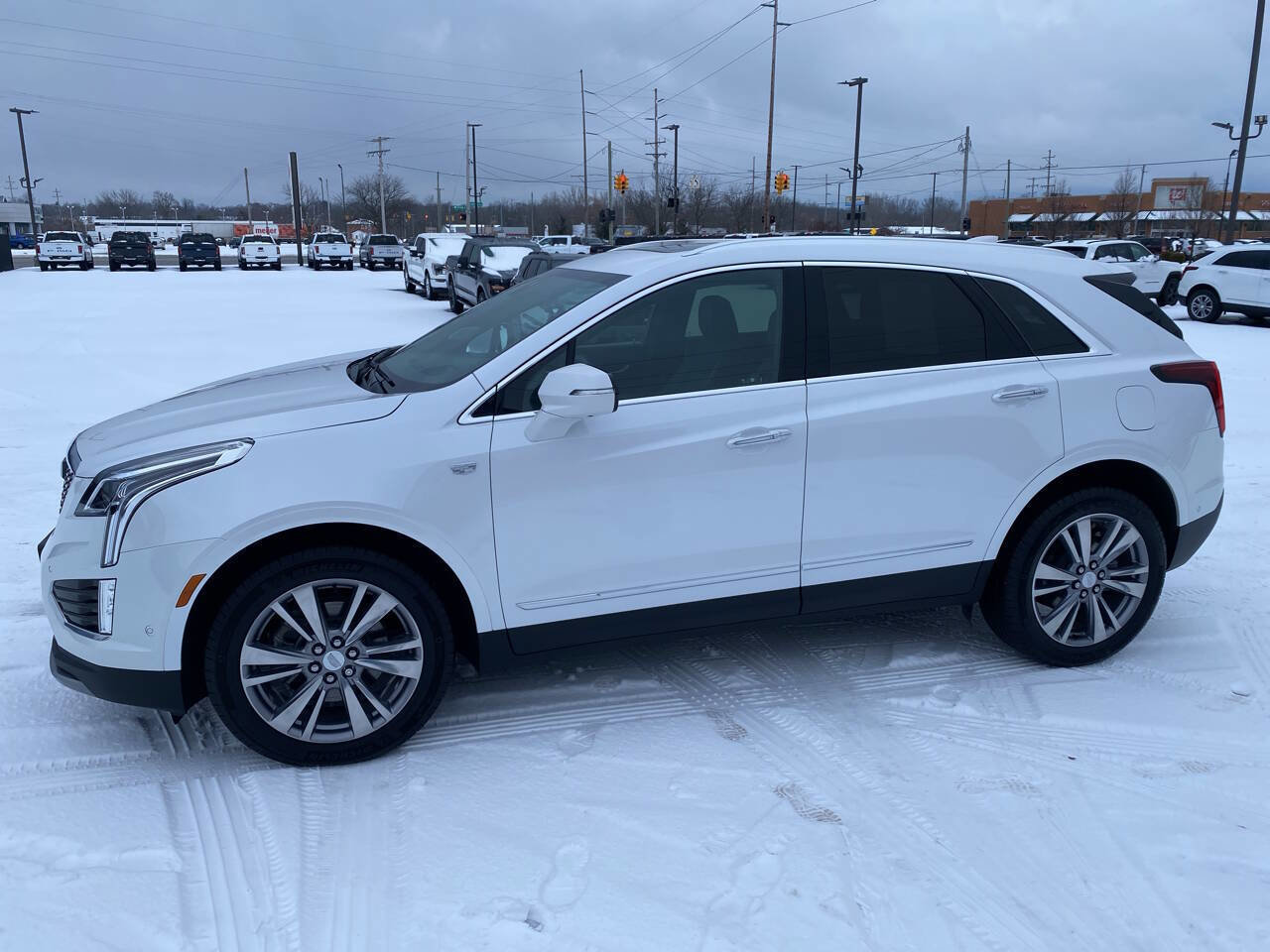 Used 2025 Cadillac XT5 Premium Luxury image 7