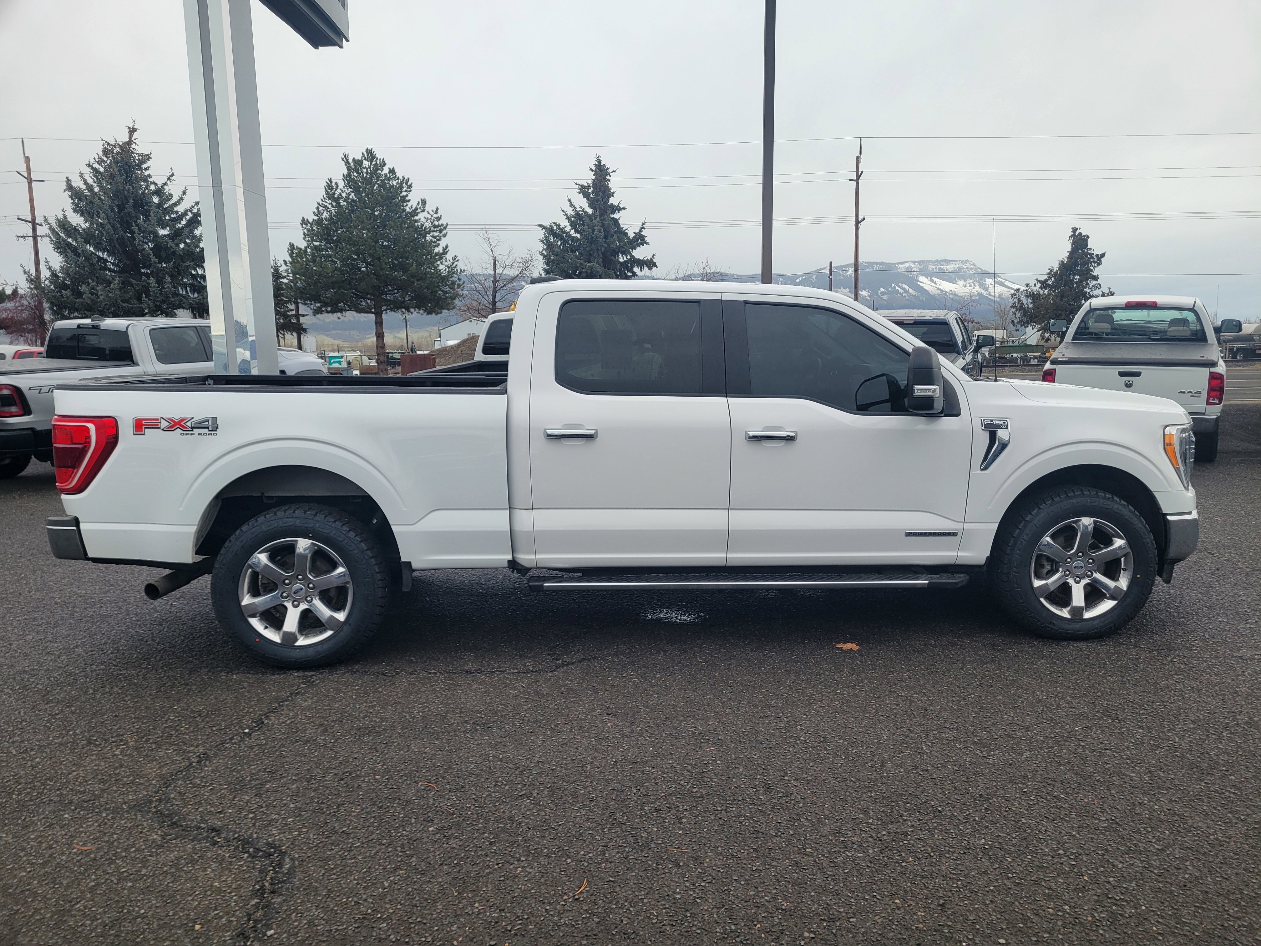 Used 2021 Ford F150 XLT w/ Equipment Group 302A High image 2