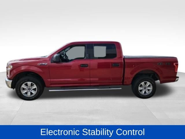 Used 2015 Ford F150 XLT image 6
