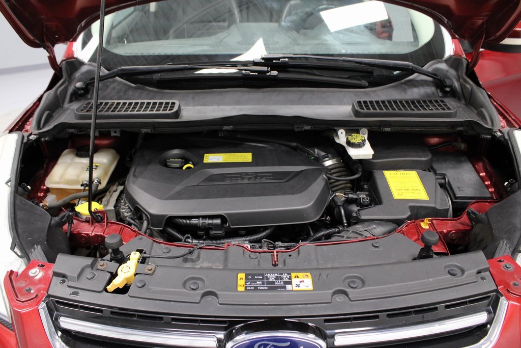 Used 2013 Ford Escape SEL image 14