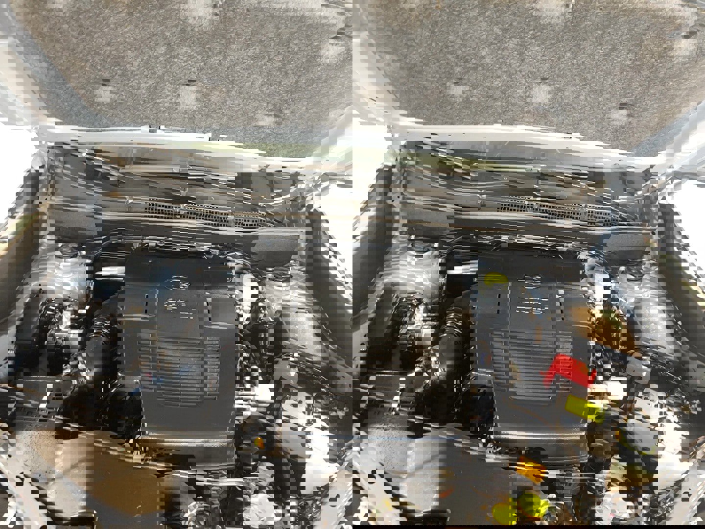 Used 2024 Subaru Forester Wilderness image 27