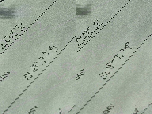 Used 2022 Chevrolet Colorado Z71 image 8