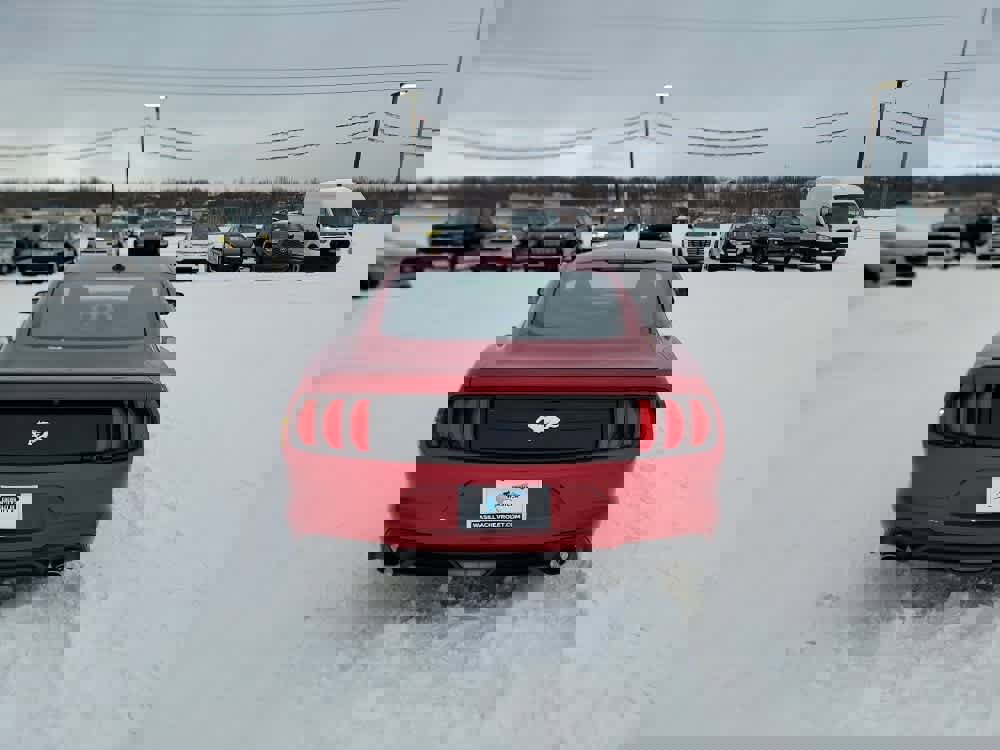 Used 2020 Ford Mustang Coupe w/ Equipment Group 101A image 4