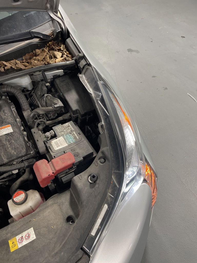 Used 2016 Toyota Prius Three w/ Protection Package FWD image 21