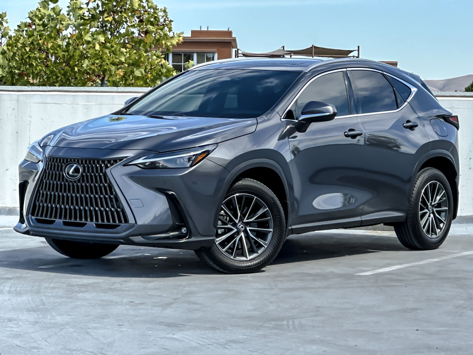 Used 2024 Lexus NX 250 AWD w/ Cold Area Package image 2