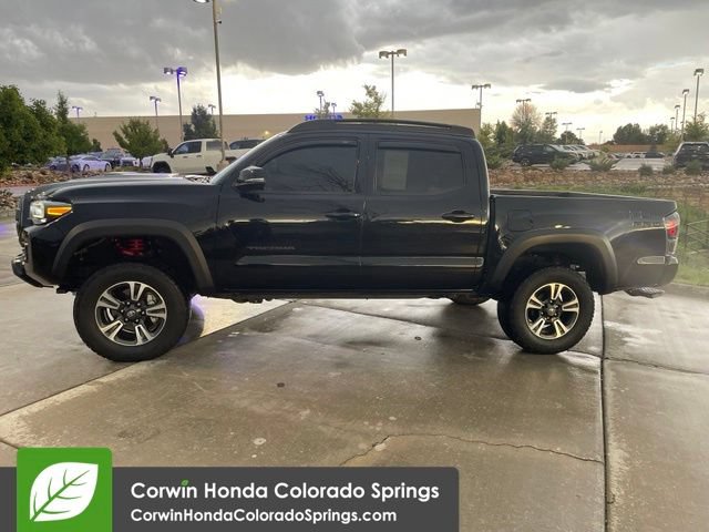 Used 2023 Toyota Tacoma TRD Pro AWD/4WD image 5
