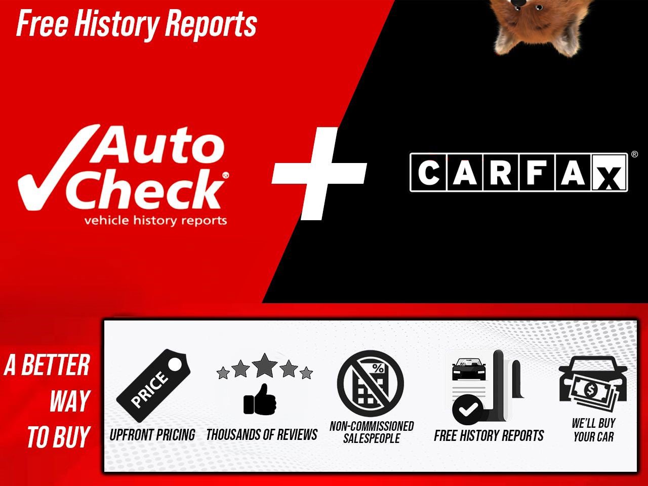 Used 2025 Honda Pilot TrailSport image 3