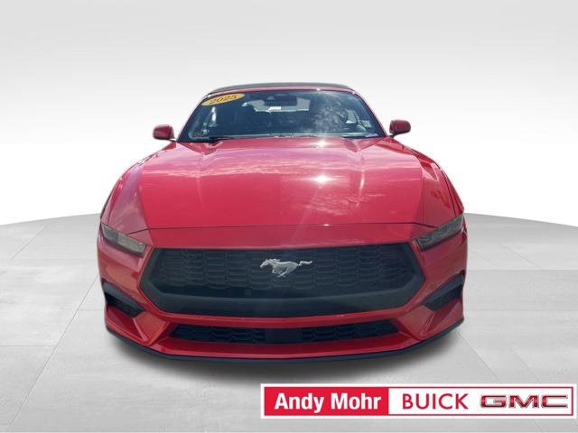 Used 2025 Ford Mustang Premium RWD image 3