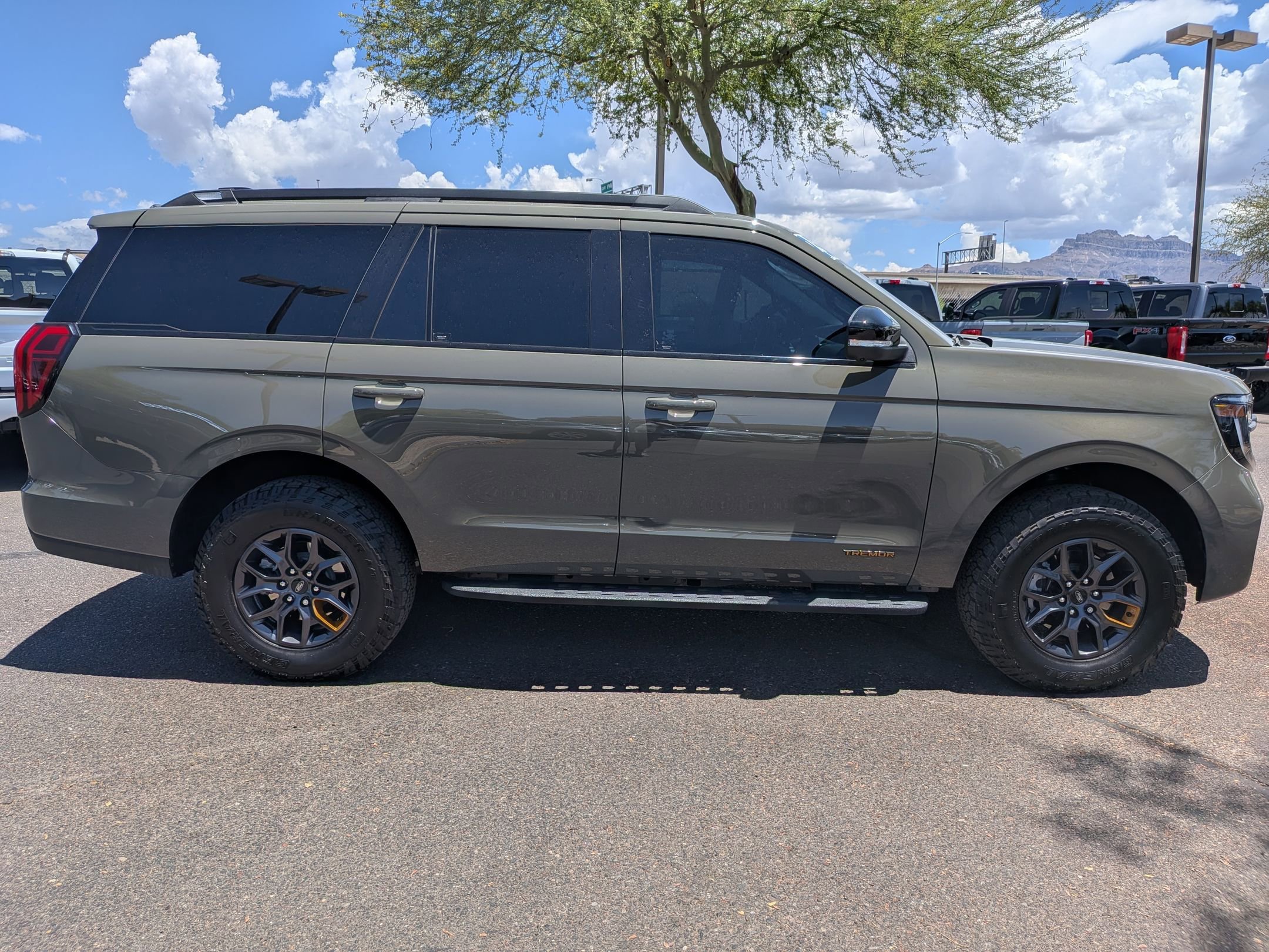 Used 2025 Ford Expedition Tremor AWD/4WD image 4
