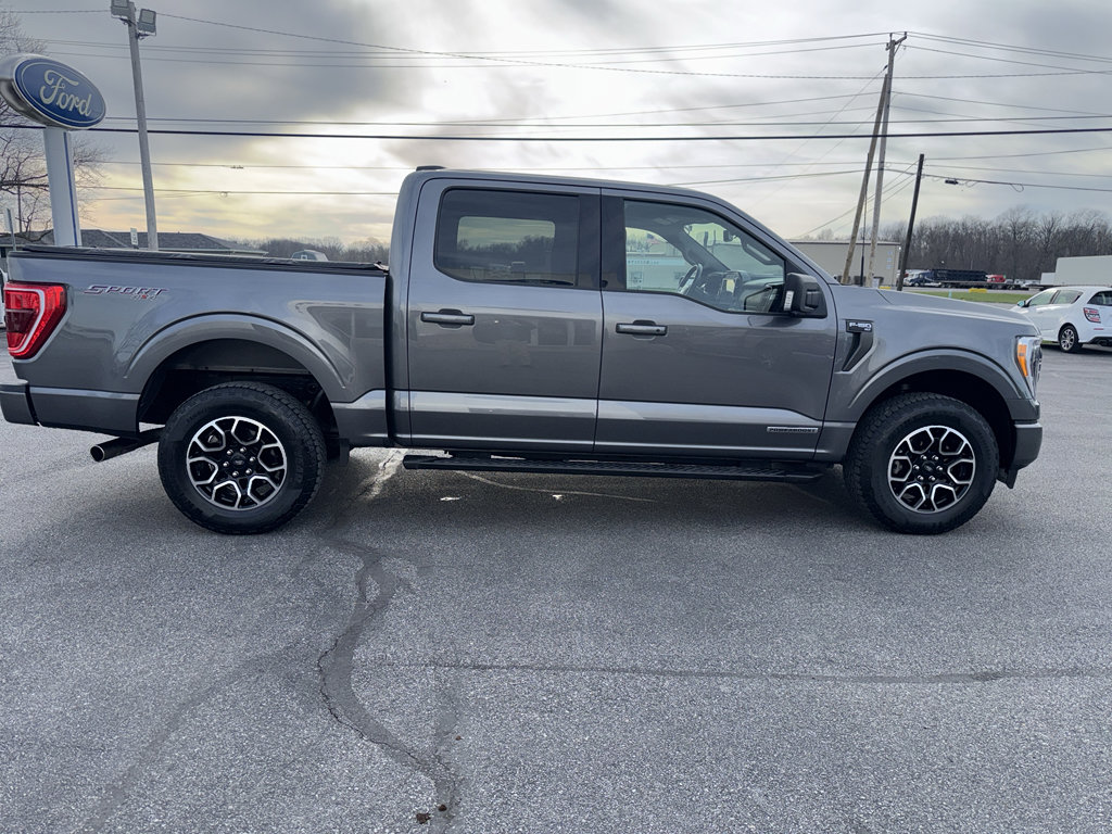Used 2023 Ford F150 XLT w/ Equipment Group 302A High image 2