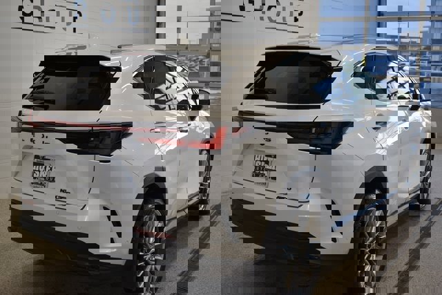 Used 2025 Lexus NX 350 Luxury image 4