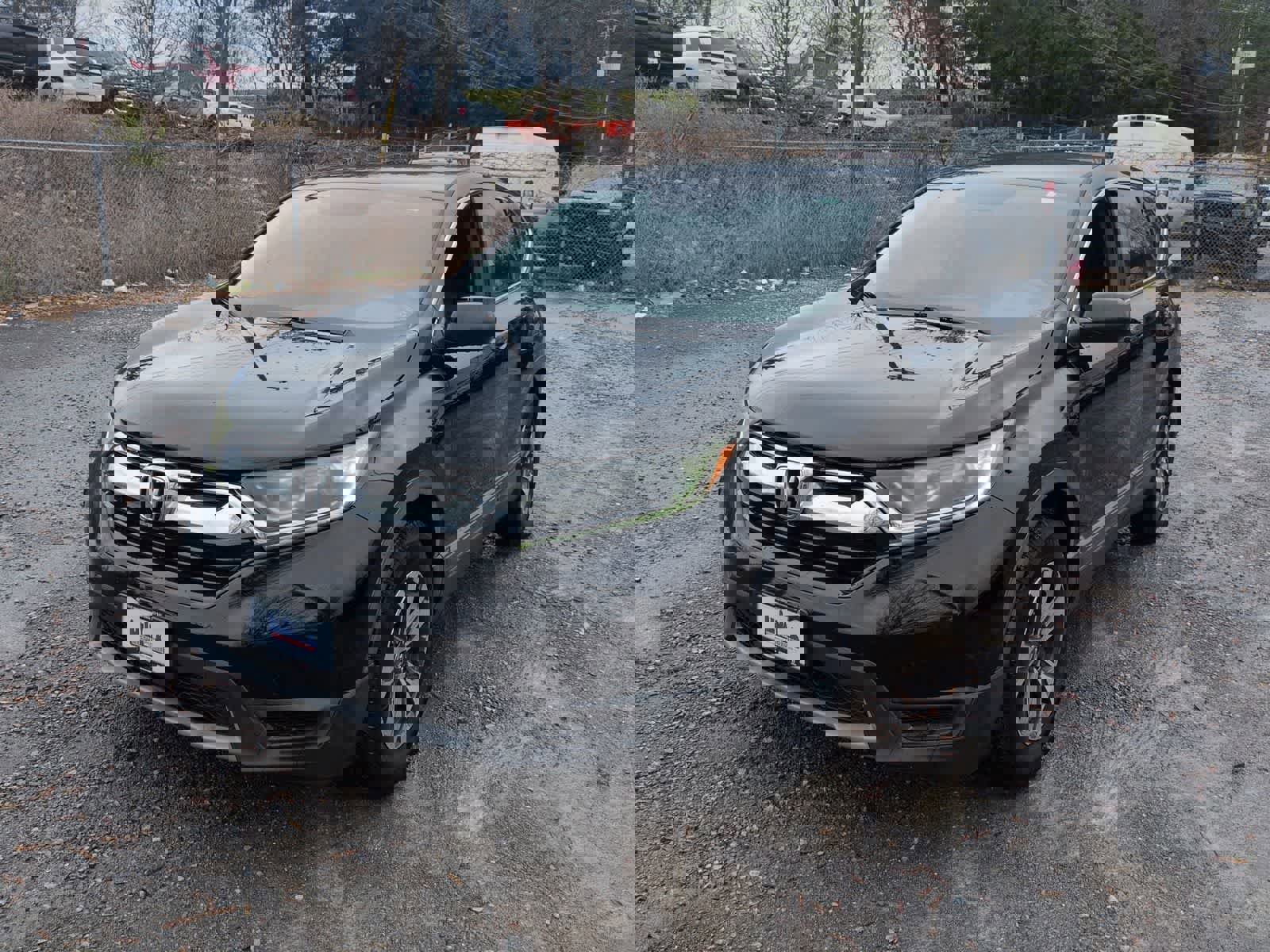 Used 2017 Honda CR-V LX image 4