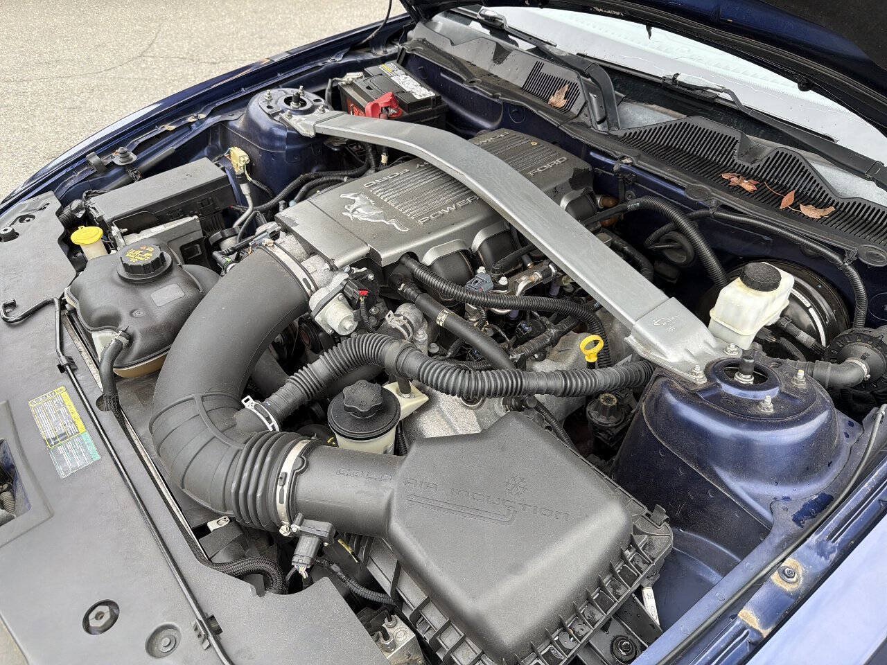 Used 2010 Ford Mustang GT Premium RWD image 13