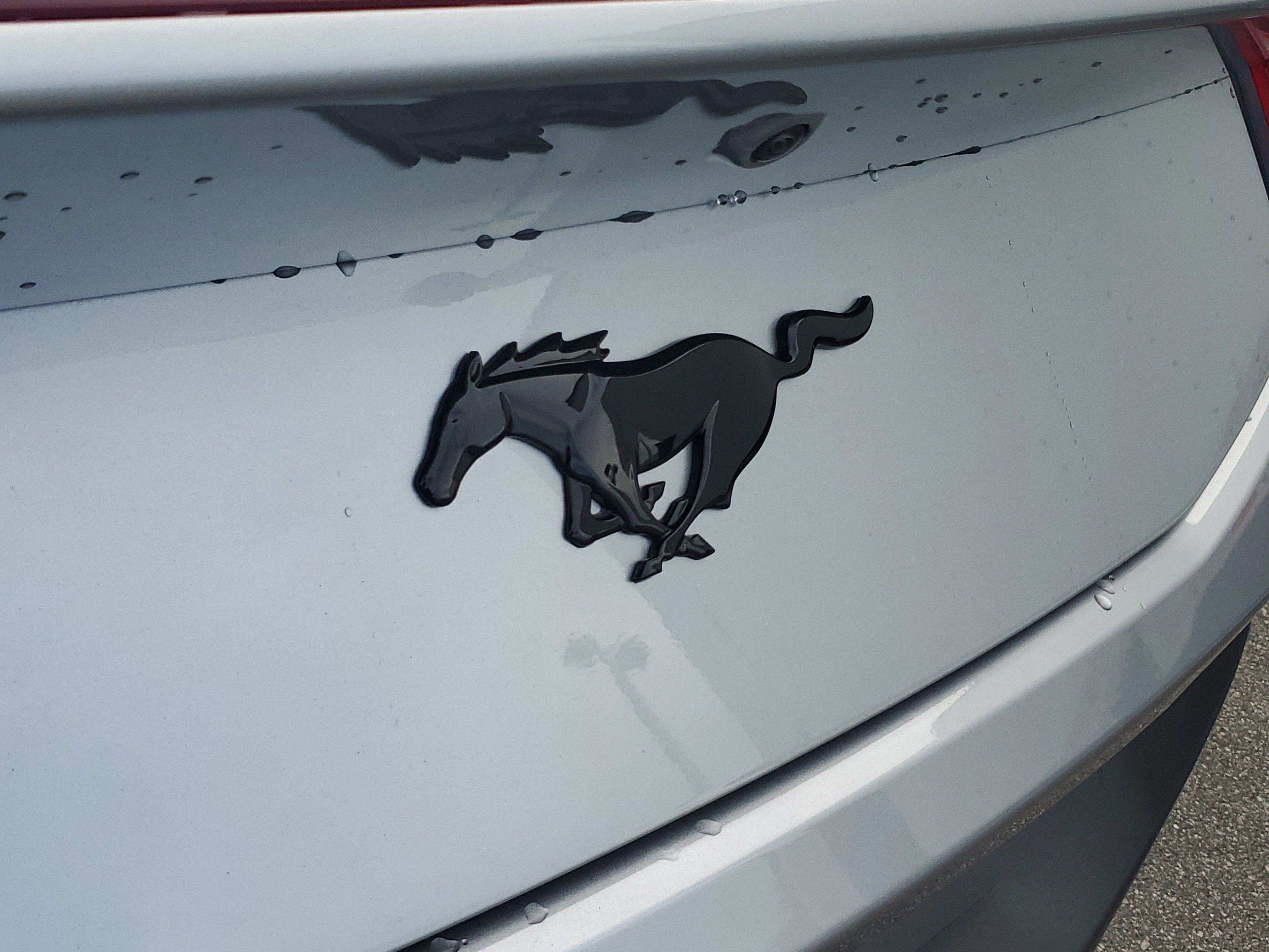 New 2026 Ford Mustang Convertible w/ Mustang Nite Pony Package image 11