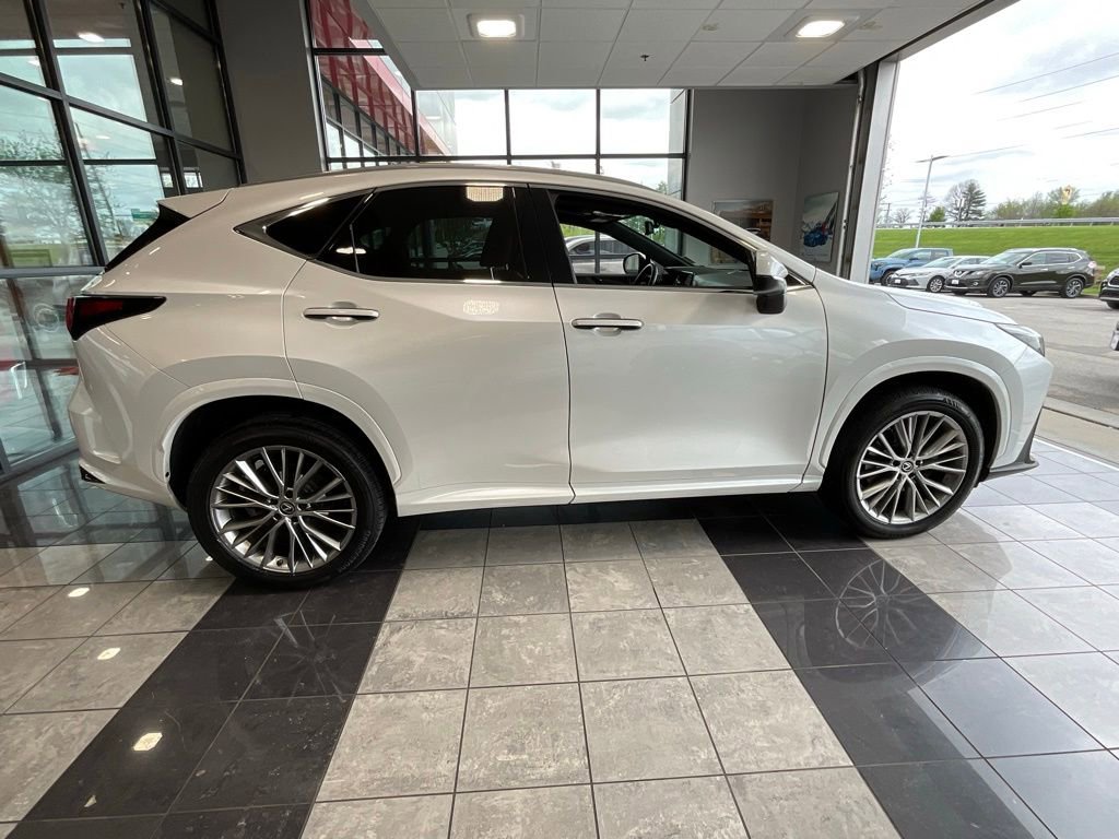 Used 2023 Lexus NX 350h AWD image 6