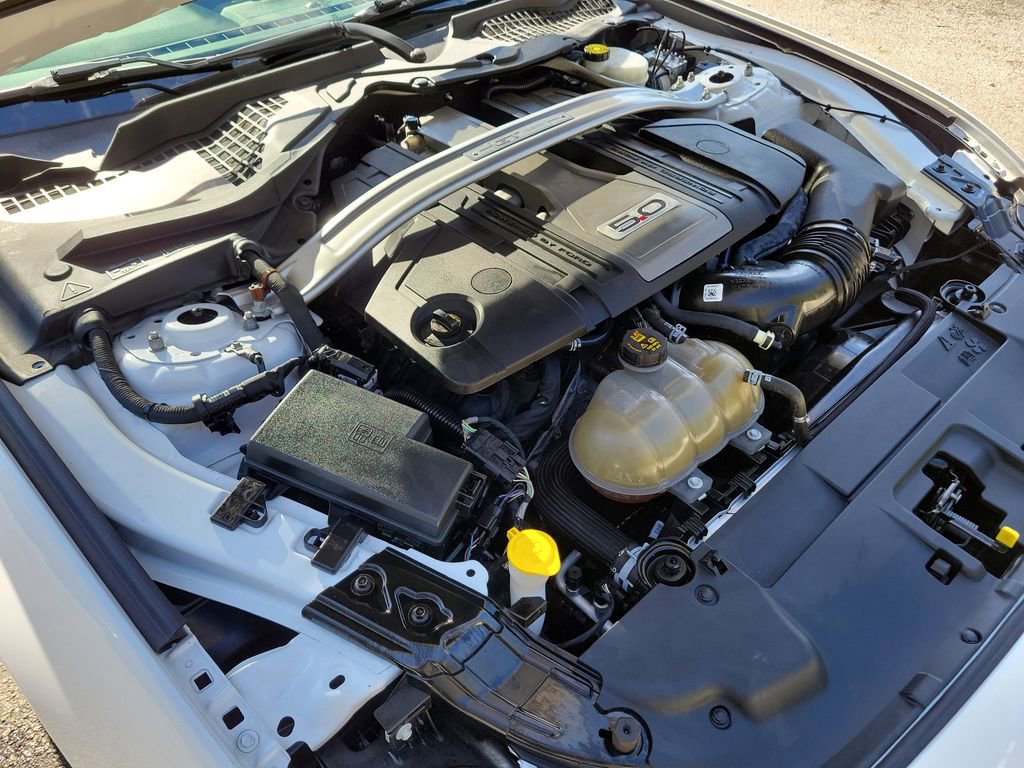 Used 2019 Ford Mustang GT Premium w/ Equipment Group 401A image 14