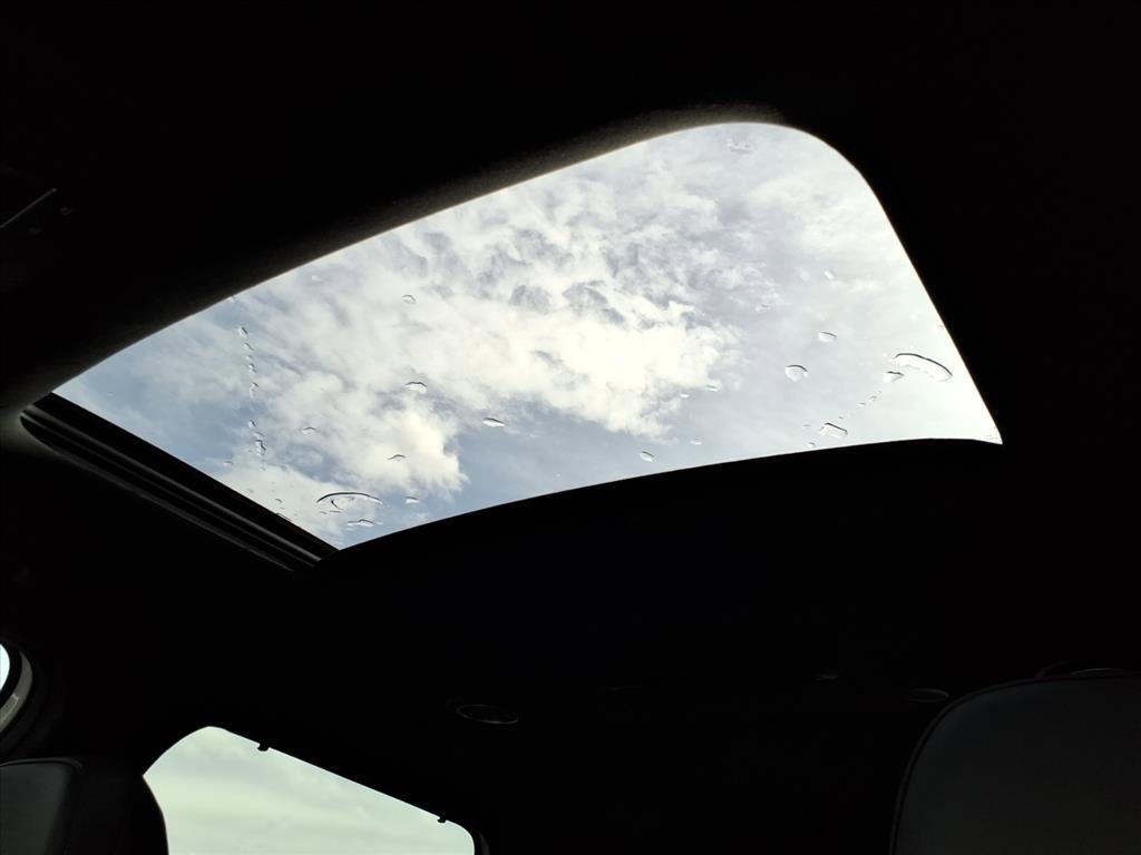 New 2026 Hyundai Palisade Calligraphy image 6