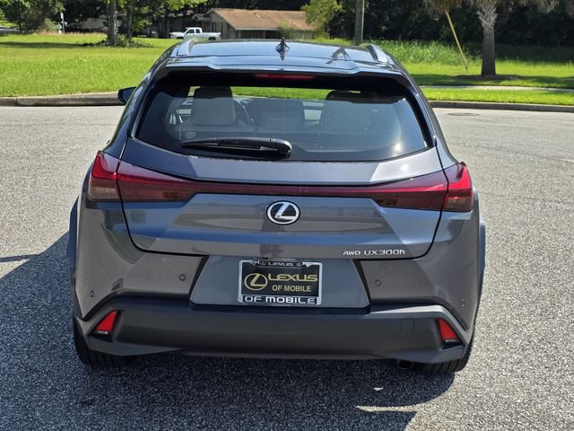 Used 2025 Lexus UX 300h AWD w/ Cold Area Package image 3