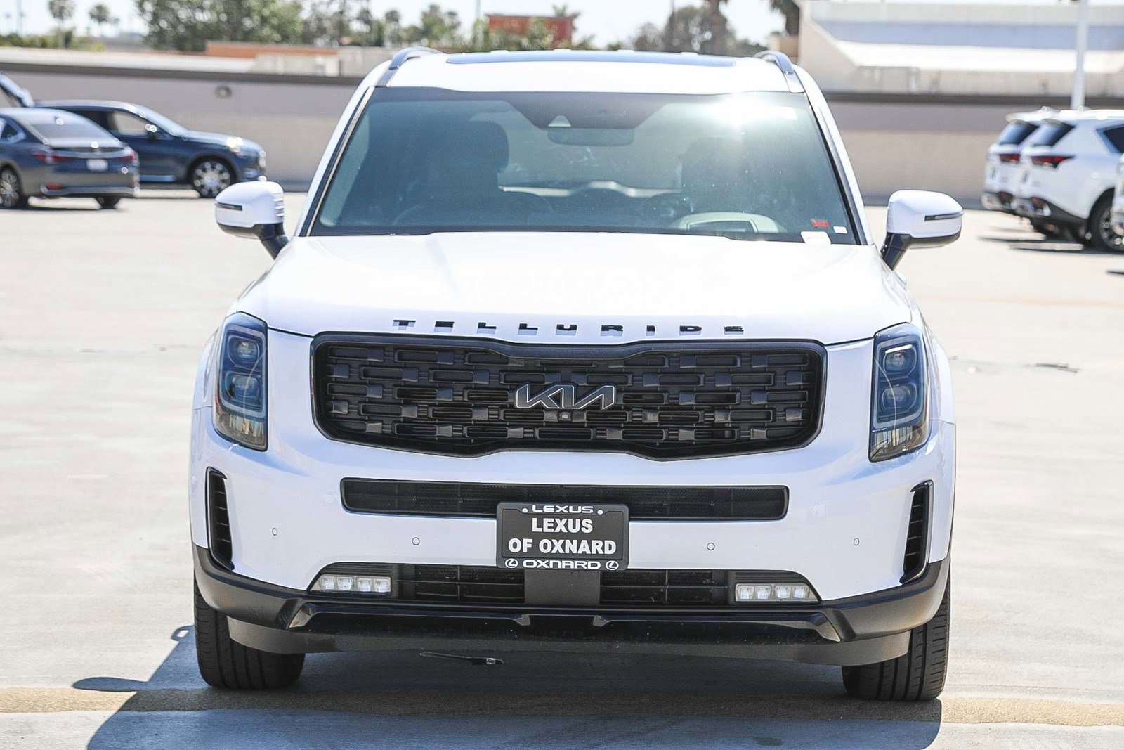 Used 2022 Kia Telluride SX w/ SX Prestige Package image 2