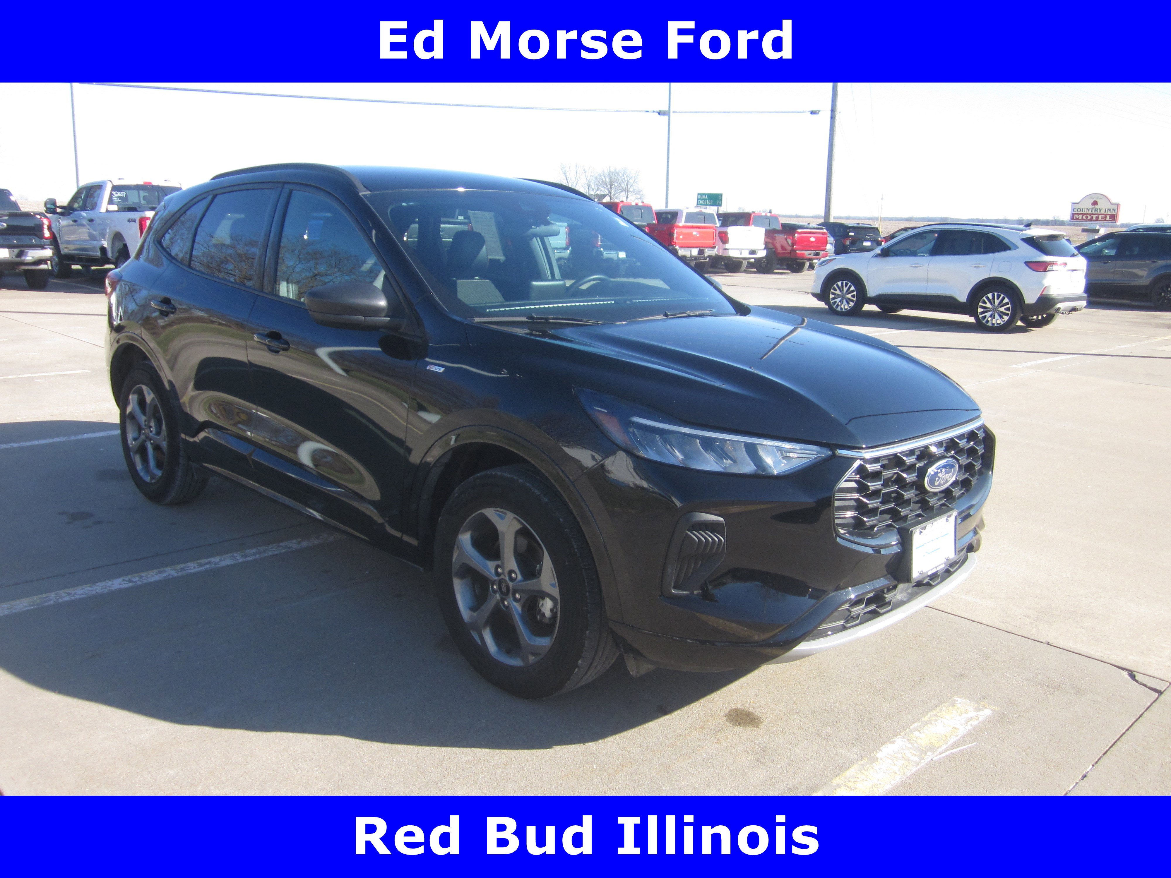 Used 2024 Ford Escape ST-Line image 1