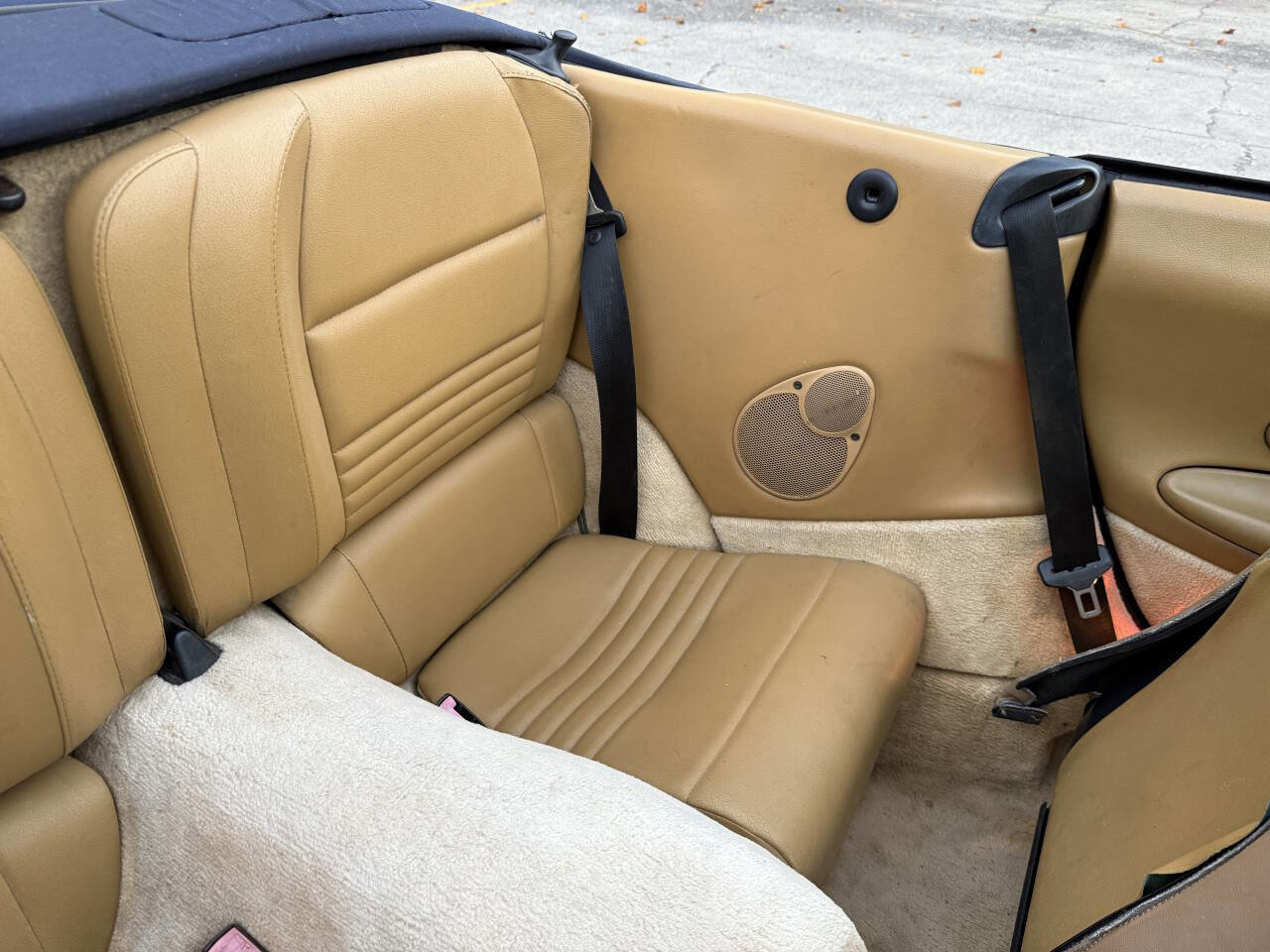 Used 2000 Porsche 911 Carrera RWD image 5