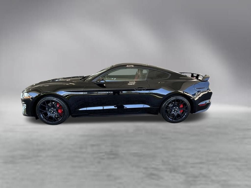 Used 2019 Ford Mustang Premium w/ Ecoboost Performance Package RWD image 8