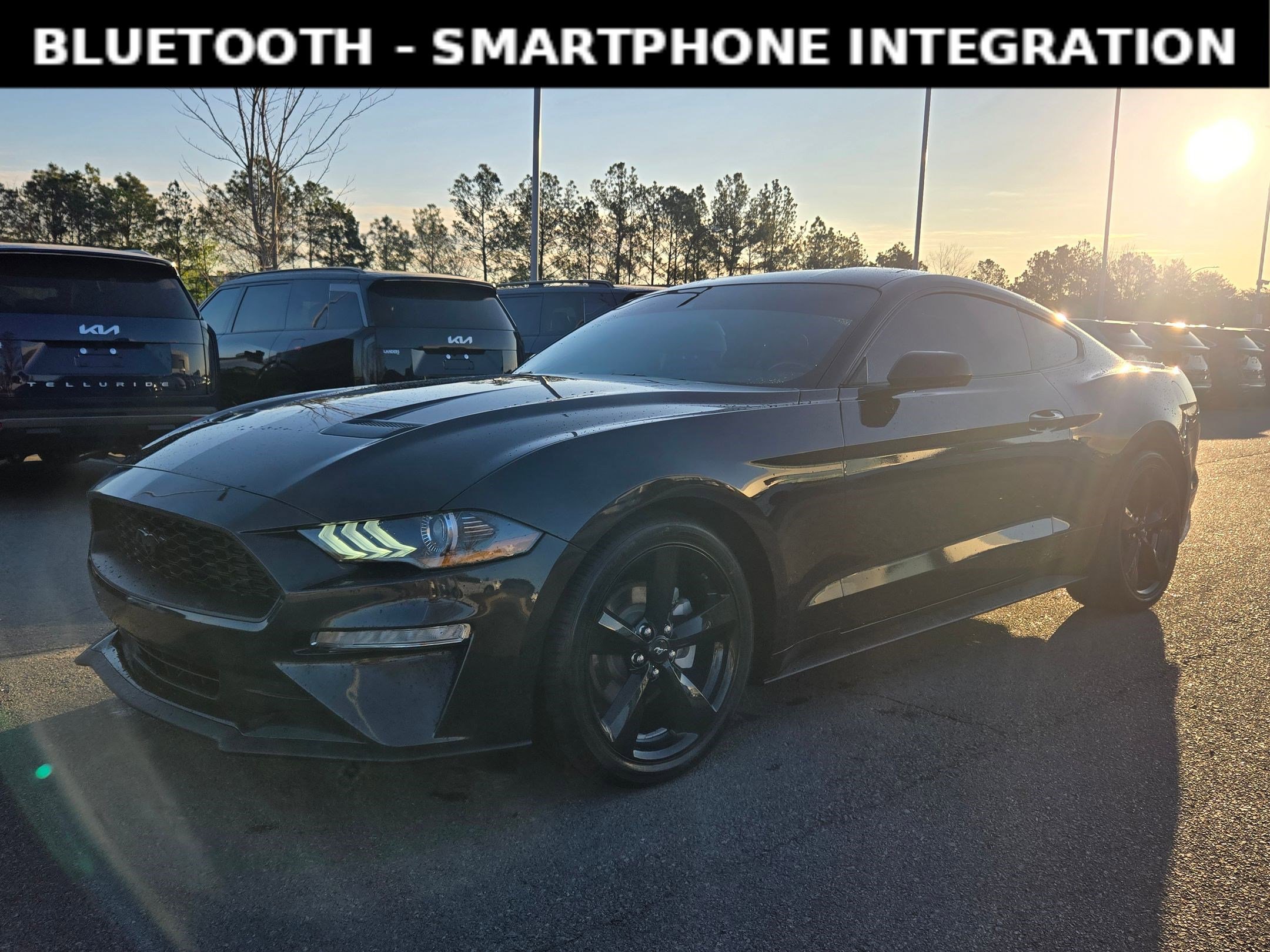 Used 2023 Ford Mustang EcoBoost w/ Equipment Group 101A image 3