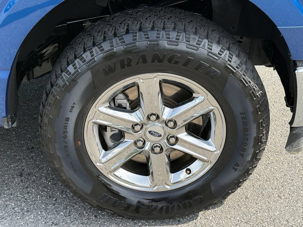 Used 2025 Ford F150 XLT w/ Equipment Group 301A Standard AWD/4WD image 15