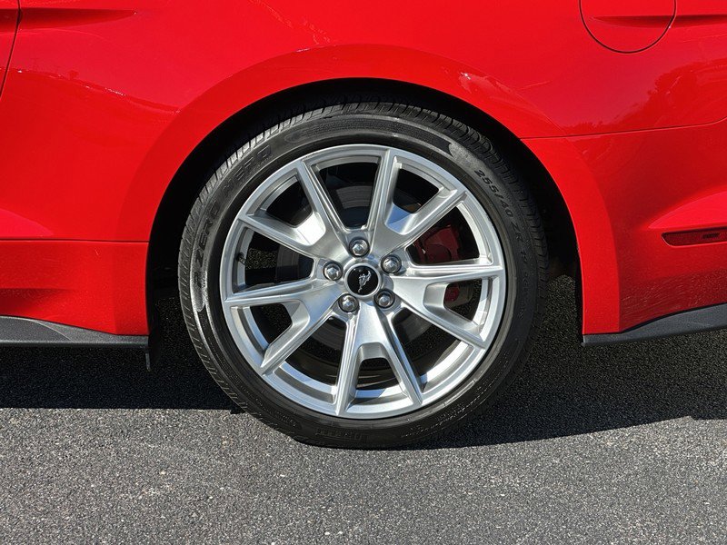 Used 2015 Ford Mustang GT Premium w/ Equipment Group 401A image 9