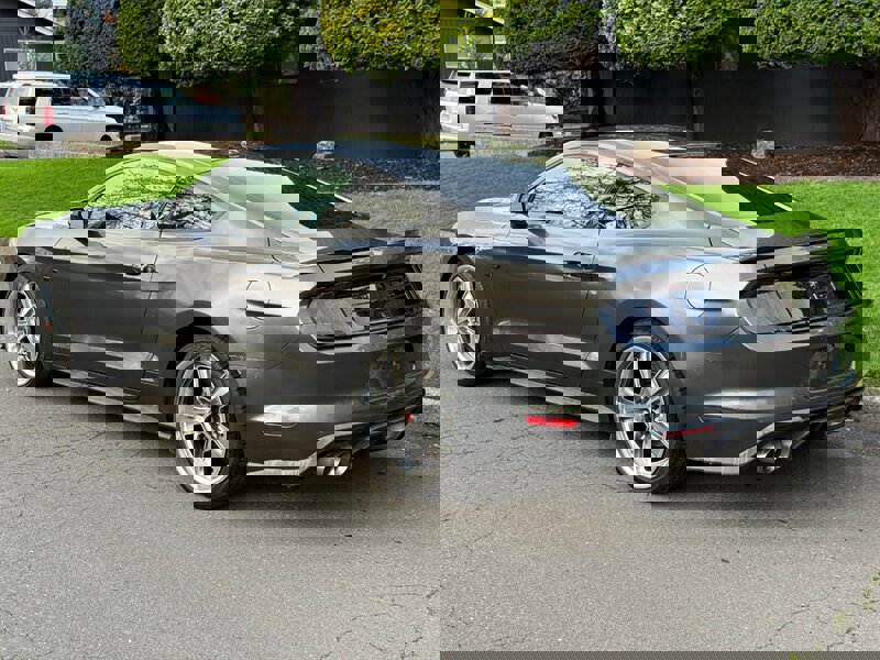 Used 2019 Ford Mustang GT w/ Equipment Group 301A image 3