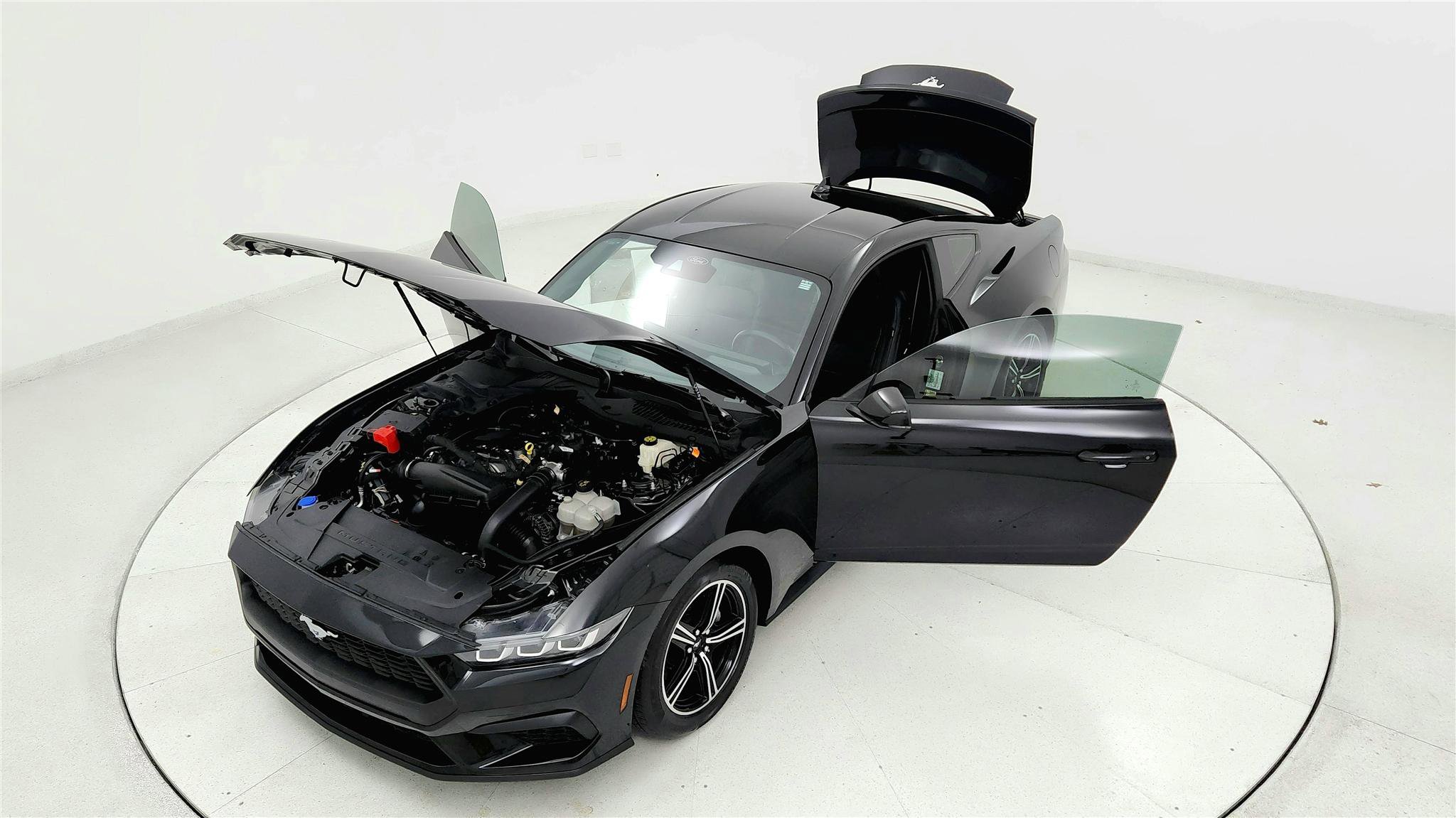 Used 2024 Ford Mustang Premium image 21