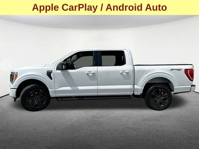Used 2022 Ford F150 XLT w/ Equipment Group 302A High image 7