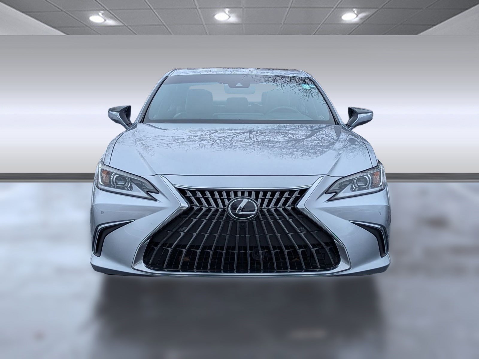 Certified 2025 Lexus ES 300h w/ Luxury Package image 6