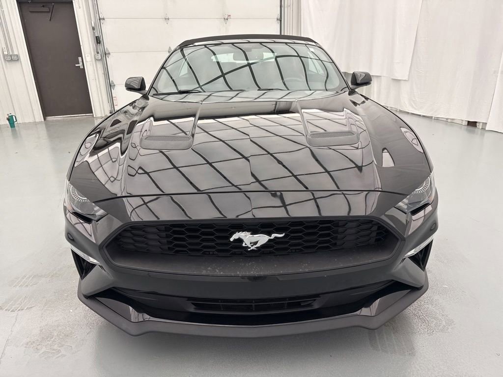 Used 2020 Ford Mustang Premium RWD image 2