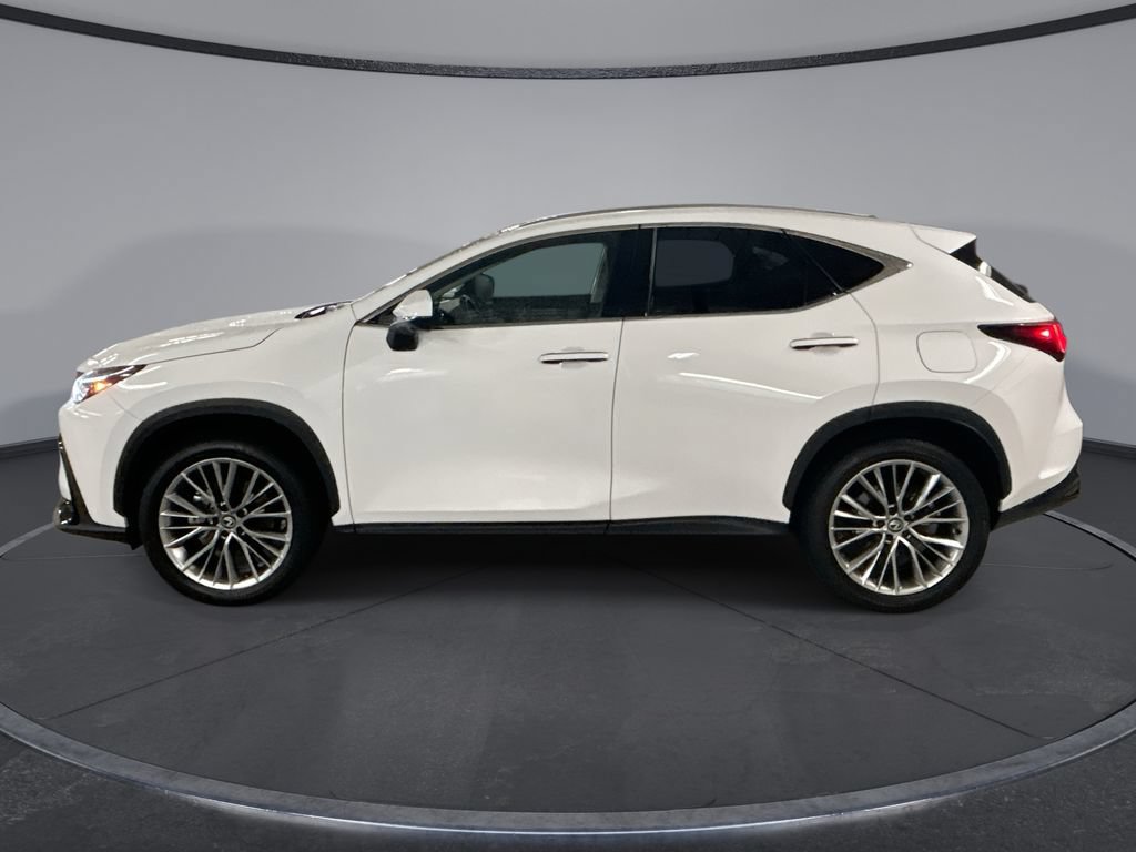 New 2026 Lexus NX 350 AWD w/ Luxury Package image 5