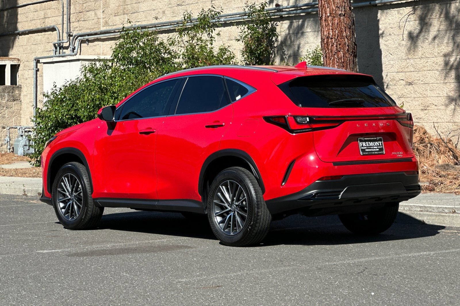 Used 2024 Lexus NX 350 AWD w/ Cold Area Package image 5