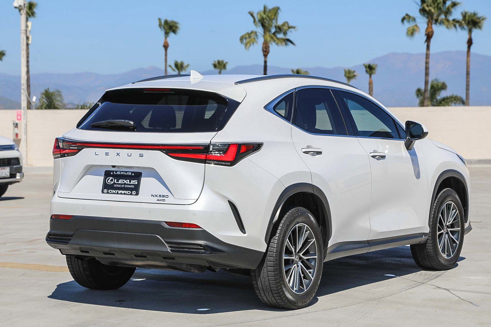 Used 2024 Lexus NX 350 AWD w/ Cold Area Package image 7