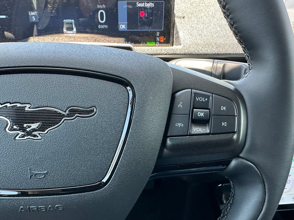 New 2026 Ford Mustang Mach-E Premium RWD image 24