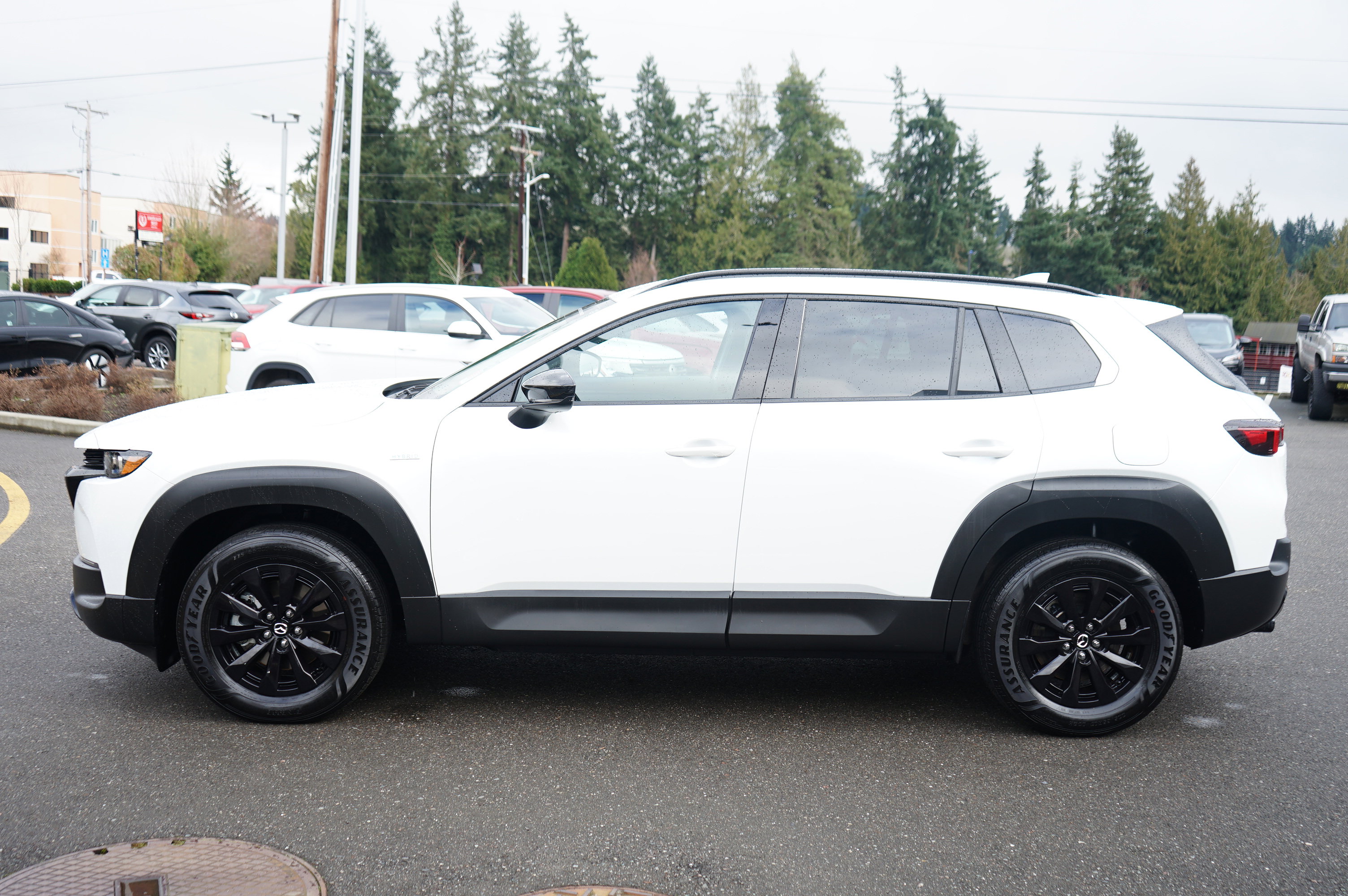 Certified 2025 MAZDA CX-50 AWD 2.5 Hybrid w/ Premium Pkg image 6